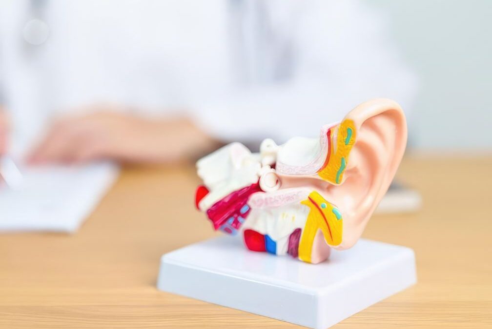 Does Ear Shape Affect How Well You Hear?